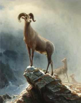 動物 Painting - ロッキーマウンテン ビッグホーン 羊 アメリカのアルバート ビアシュタット 動物
